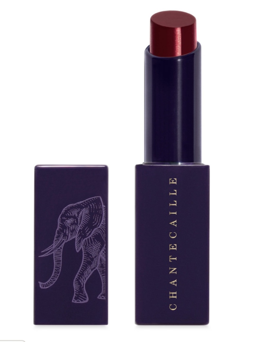Chantecaille Lip Veil in Deep Plum - Elderberry